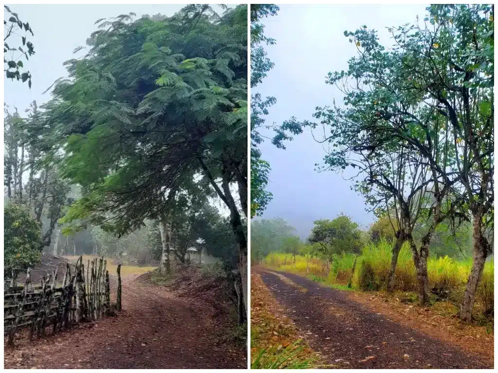 June marks the start of the Cool and Dry Season in the Galapagos
