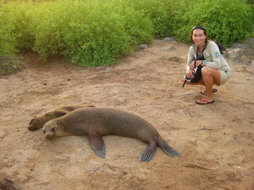 June in the galapagos islands - sea lions