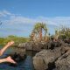 Can you be too young for the Galapagos Islands?