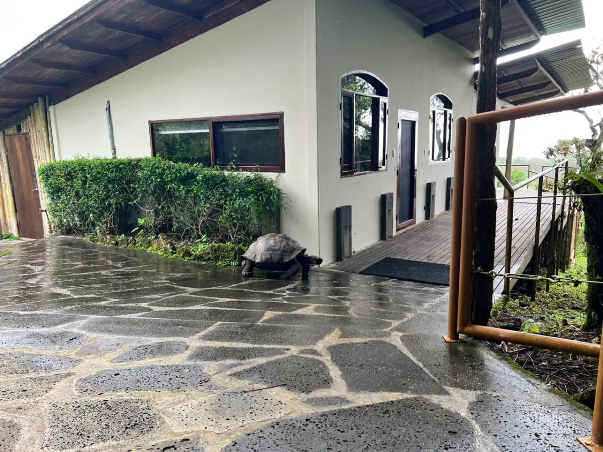 A popular path for migrating giant tortoises sits behind our Family Suite at Galapagos Safari Camp