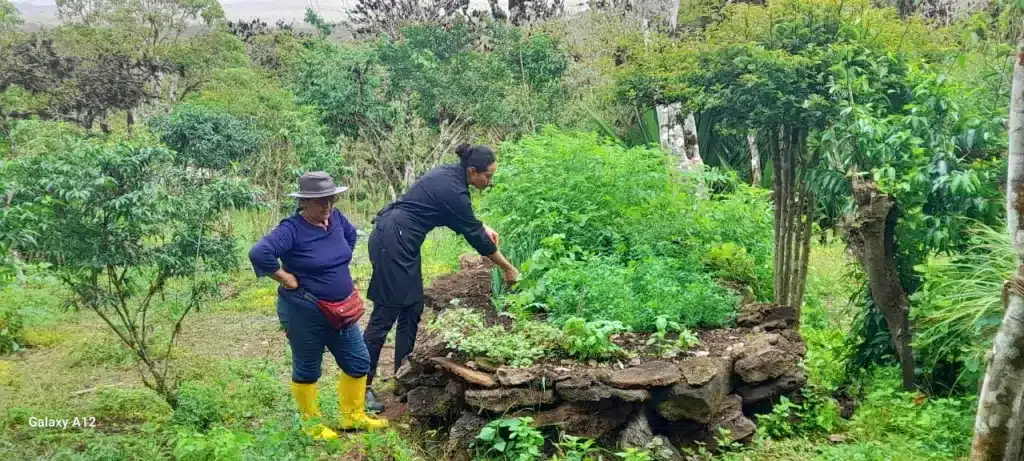 Kitchen garden at Galapagos Safari Camp