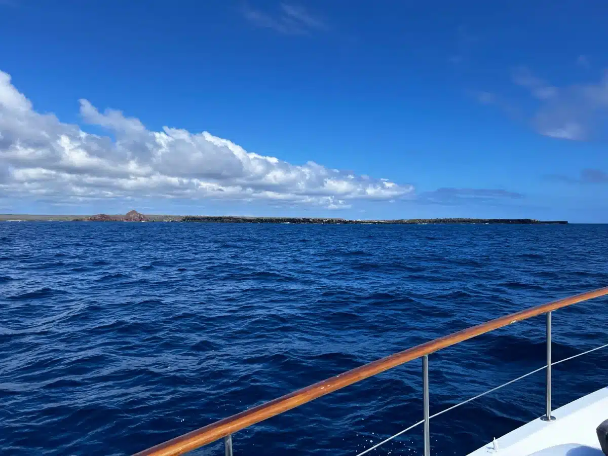Galapagos boat trips are smoother in the month of February