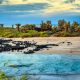 The Galapagos in March | Best time to Visit the Galapagos