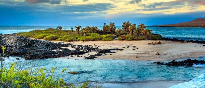 The Galapagos in April | Best time to Visit the Galapagos