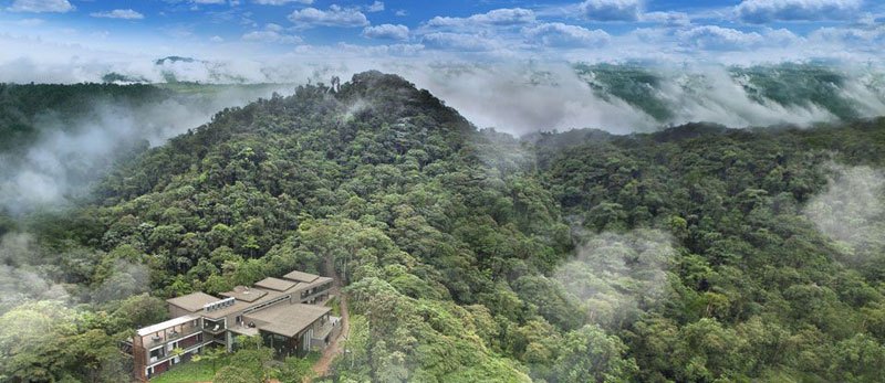 Ecuador’s Spectacular Chocó Cloud Forest