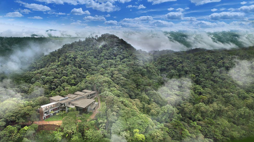 Ecuador’s Spectacular Chocó Cloud Forest
