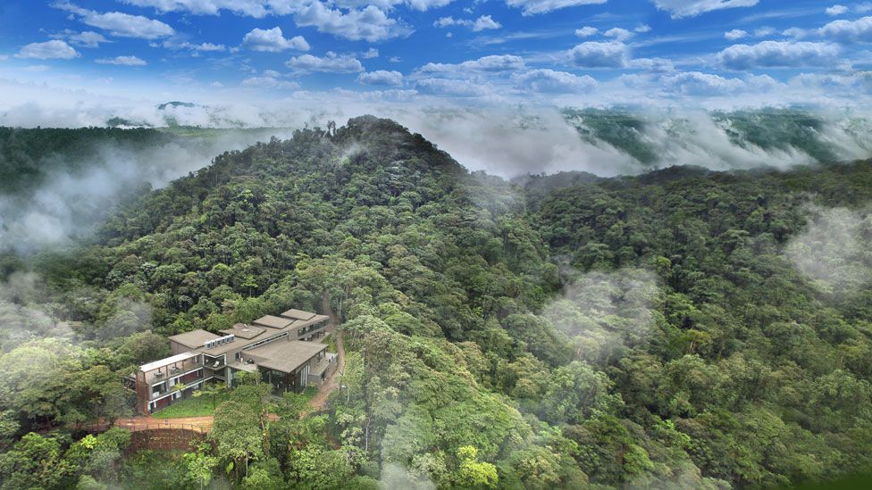 Hotels in Ecuador's cloud forest