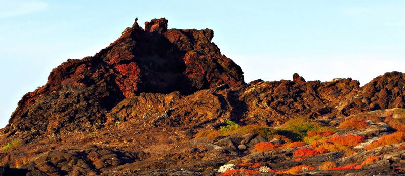 Santiago Island, Galapagos: Everything You Need To Know