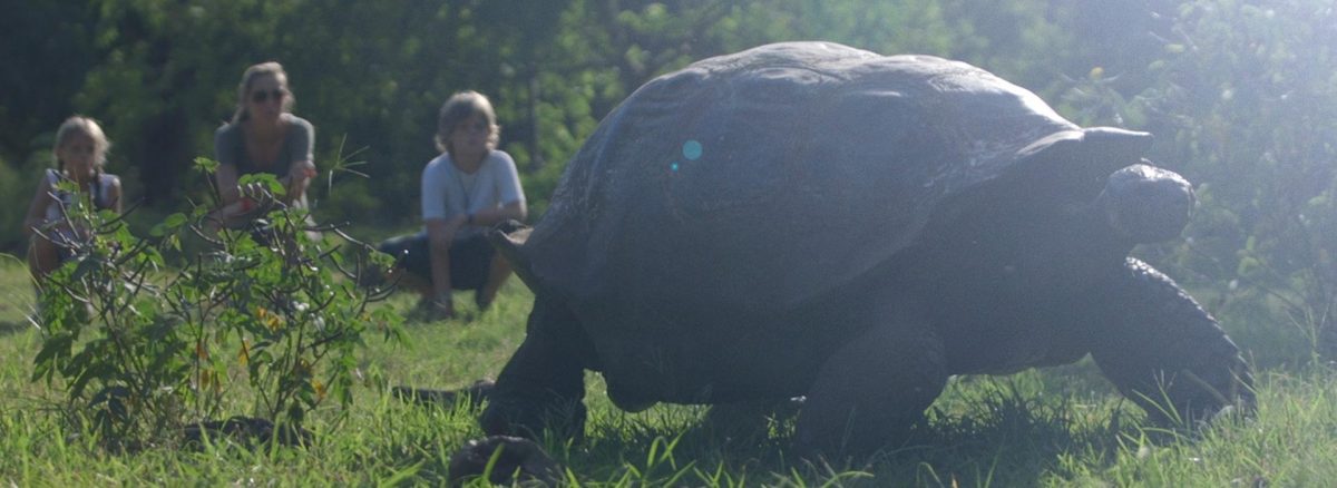 Family Safari activities in the Galapagos for multigenerational families