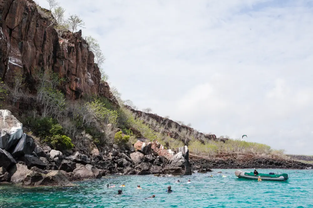Snorkeling and diving in the Galapagos Marine Reserve