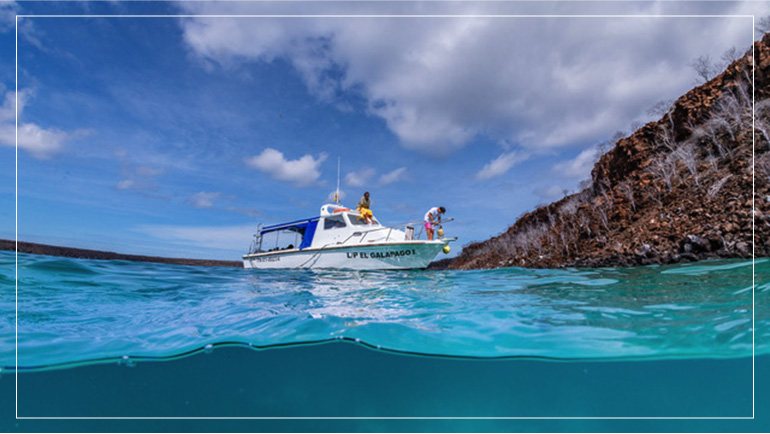 Scuba-Diving in the Galapagos Islands