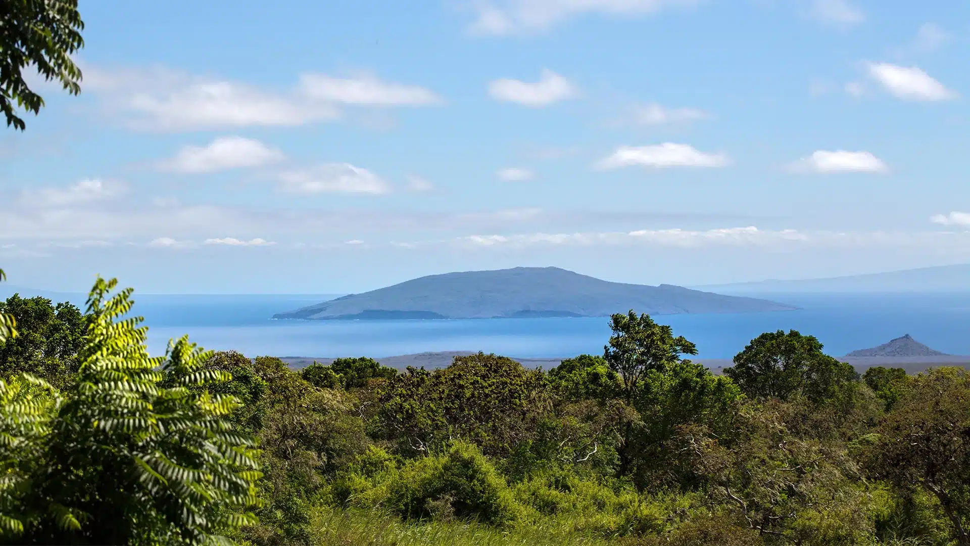 What is the appropriate way of visiting the Galapagos Islands?