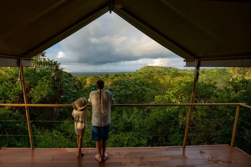 At Galapagos Safari Camp you are cocooned in comfort while exposed to the untamed beauty of the wilderness.