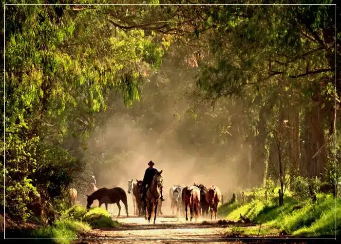 Discover the Andes, Ecuador