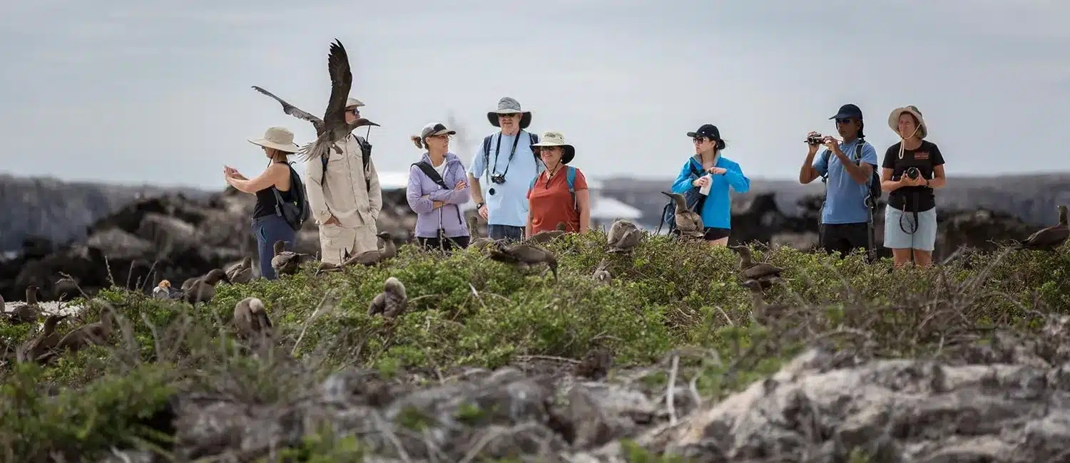 Galapagos Wildlife