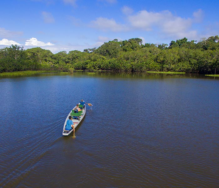 La Selva, Amazon rainforest tours