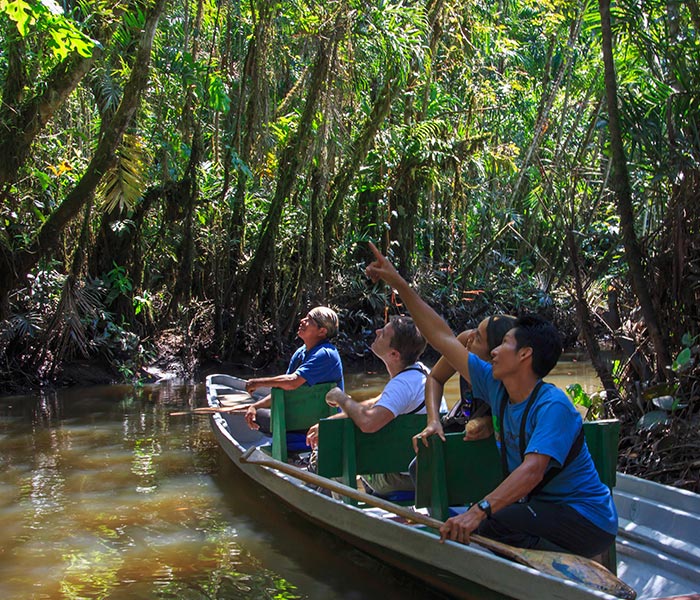 Activities, La Selva, Amazon rainforest tours