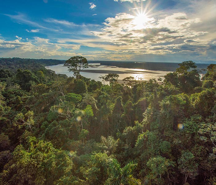Amazon rainforest tours