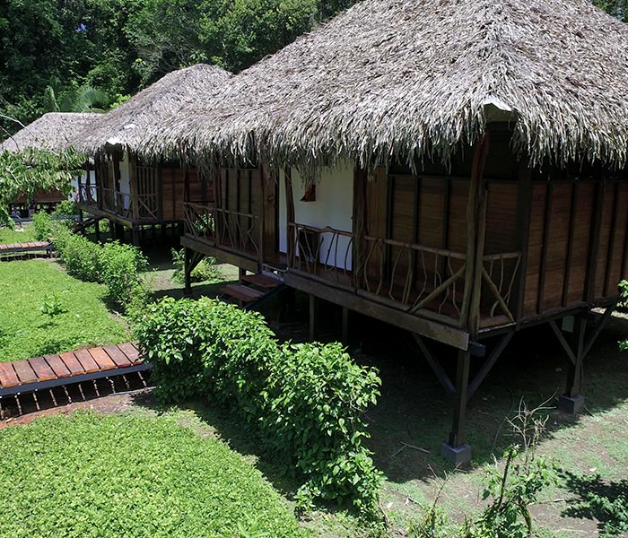 Accommodation, Sacha Lodge, Amazon rainforest tours