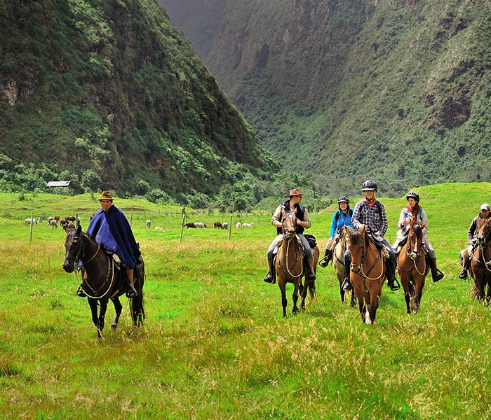Horse riding, Hacienda Zuleta, Ecuador
