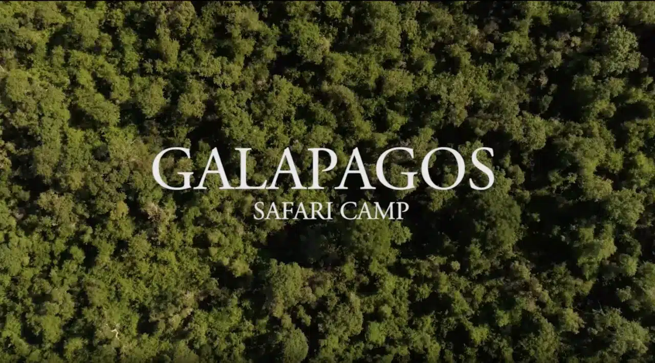 Galapagos Safari Camp video with Stephanie Bonham-Carter