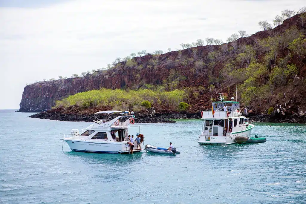 Our Safaris include either private, semi-private or shared boat trips to uninhabited islands