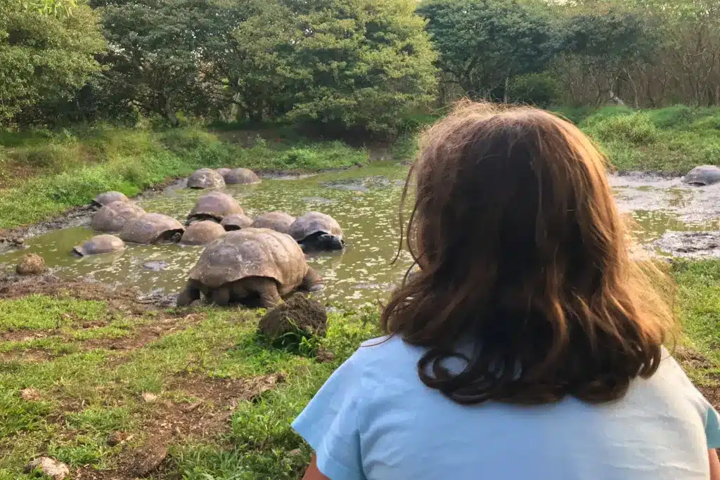 Family Galapagos Tour Giant Tortoises
