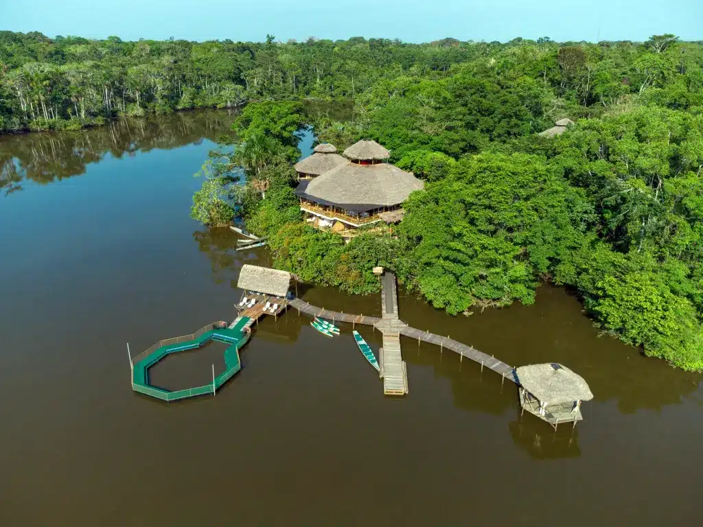 La selva