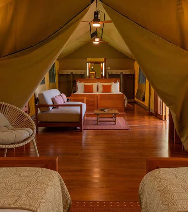 Luxury Galapagos Family Safari Tent