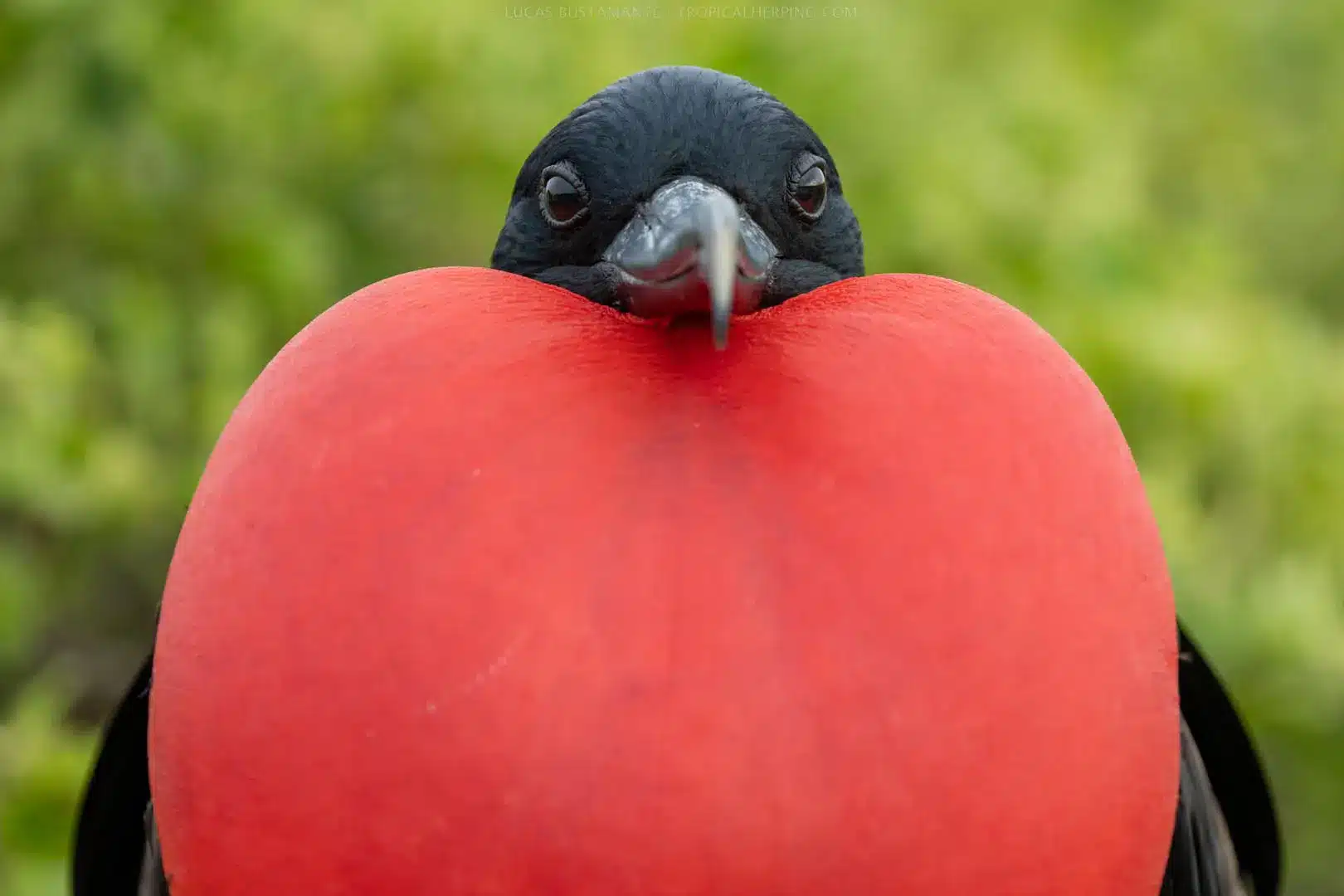 Photography tours in the Galapagos Islands